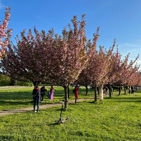 Stanczyka - 42m2 Apartment
